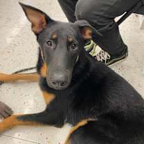 Thumbnail photo of Jake #4