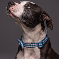 Thumbnail photo of George #1