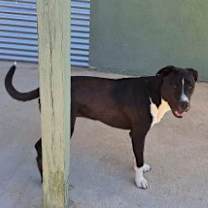 Thumbnail photo of Tacha #3