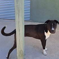 Thumbnail photo of Tacha #4