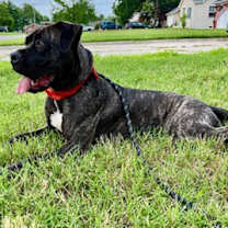 Thumbnail photo of Mandi Sue- sanctuary #3