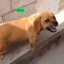 Thumbnail photo of Mike #2