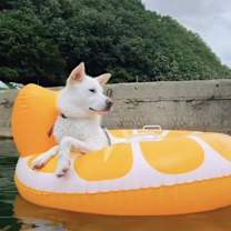 Thumbnail photo of Fondue #2