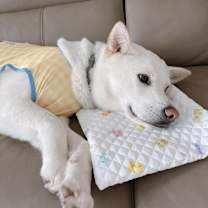 Thumbnail photo of Fondue #3