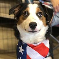 Thumbnail photo of Snickers #3