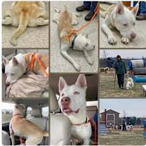 Thumbnail photo of Milton #2