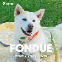 Thumbnail photo of Fondue #1