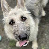 Thumbnail photo of Gigi the Glamorous #3