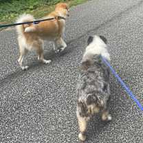 Thumbnail photo of Ben #4