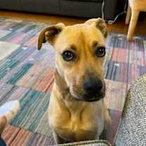 Thumbnail photo of Rita #1