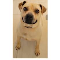 Thumbnail photo of BUBBA #2