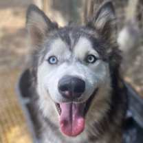 Thumbnail photo of Lizzie #2