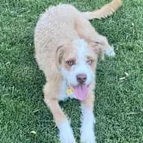 Thumbnail photo of Ranger #3