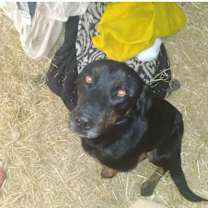 Thumbnail photo of jack #1