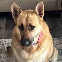 Thumbnail photo of Graci #1