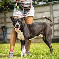 Thumbnail photo of Boots #3