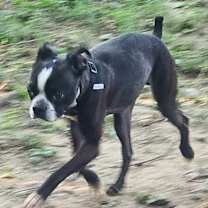 Thumbnail photo of Kenji #3