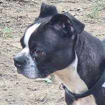 Thumbnail photo of Kenji #4