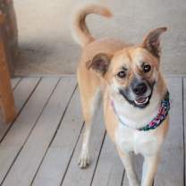Thumbnail photo of Wally #1