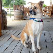 Thumbnail photo of Wally #3
