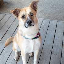 Thumbnail photo of Wally #4