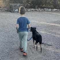 Thumbnail photo of Iggy and Marley #2