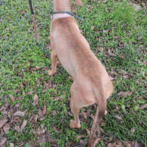 Thumbnail photo of Jack #2
