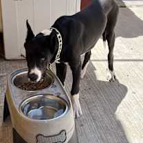 Thumbnail photo of Odin #3