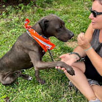 Thumbnail photo of Brody #4