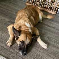 Thumbnail photo of PRECIOUS #4