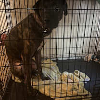 Thumbnail photo of Ace #3