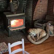 Thumbnail photo of Kira #2