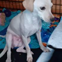 Thumbnail photo of Diamond #2