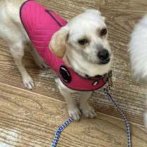 Thumbnail photo of Blossom #3