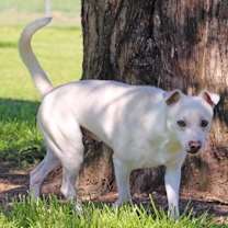 Thumbnail photo of Griff #1