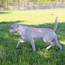 Thumbnail photo of Griff #3