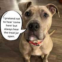 Thumbnail photo of Bruce #3