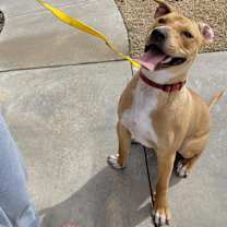 Thumbnail photo of Rufus Lucas #2