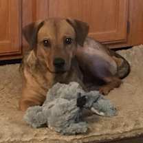 Thumbnail photo of Oakley #1