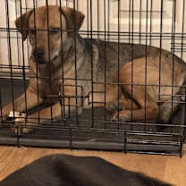 Thumbnail photo of Oakley #2