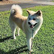 Thumbnail photo of Hiromi #2