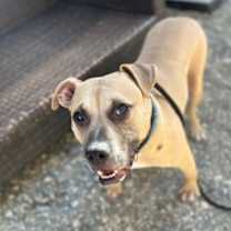 Thumbnail photo of Niles #3