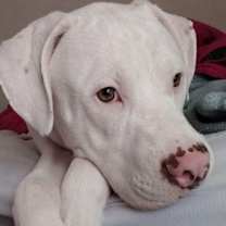 Thumbnail photo of Z - Casper -  Courtesy Post! #1