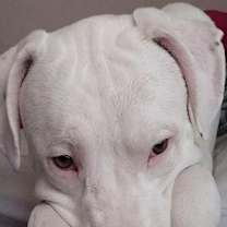 Thumbnail photo of Z - Casper -  Courtesy Post! #2