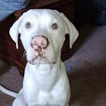 Thumbnail photo of Z - Casper -  Courtesy Post! #3