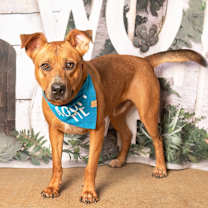 Thumbnail photo of Fisher #2