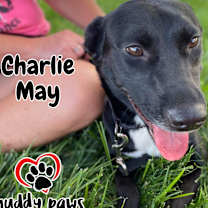 Thumbnail photo of Charlie May #4
