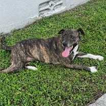 Thumbnail photo of Hanny #3