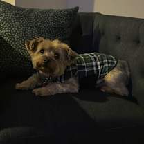 Thumbnail photo of Polo #1