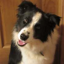 Thumbnail photo of Luke #3
